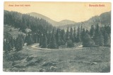 5785 - BORSEC, Harghita, Panorama, Romania - old postcard - unused - 1908