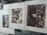 Lot 58 gravuri vintage vechi