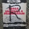 Sorin Titel - Lunga calatorie a prizonierului
