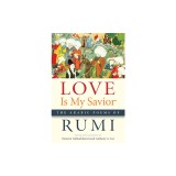 Love Is My Savior: The Arabic Poems of Rumi
