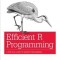 Efficient R Programming: A Practical Guide to Smarter Programming