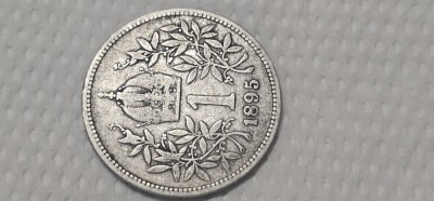 1 corona 1895 argint foto