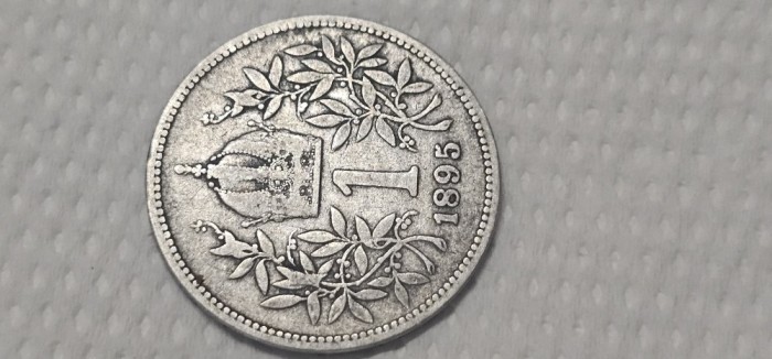 1 corona 1895 argint