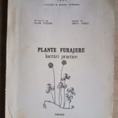 Plante furajere. Lucrari practice- Iacob Teodor, Vintu Vasile