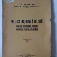 Victor Iamandi - Politica Nationala de Stat. Problema Nationalizarei Oraselor, Minoritatile Etinice si Alte Chestiuni