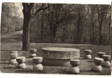 CPIB 22077 - CARTE POSTALA - TARGU JIU. MASA TACERII DE C. BRANCUSI, NECIRCULATA