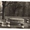 CPIB 22077 - CARTE POSTALA - TARGU JIU. MASA TACERII DE C. BRANCUSI, NECIRCULATA