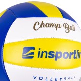 Minge Volei inSPORTline Winifer, Marime 5 FitLine Training