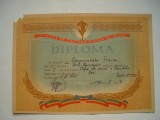 Diploma Uniunea de Cultura Fizica si Sport, tenis de masa, Iasi, 1960