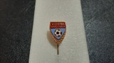 Insigna Viitorul Sascioara