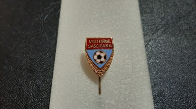 Insigna Viitorul Sascioara foto