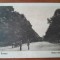 Carte postala, Roman, vedere de la Gara spre oras, 1930