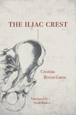 The Iliac Crest foto