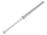 Plastic Anchor with Screw 8x100 Zinc-Plated Steel