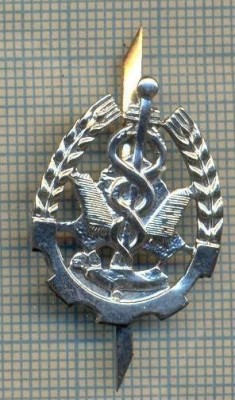 Y 1700 INSIGNA - MILITARA -SEMN DE ARMA - INTENDENTA -PENTRU COLECTIONARI foto