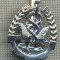 Y 1700 INSIGNA - MILITARA -SEMN DE ARMA - INTENDENTA -PENTRU COLECTIONARI