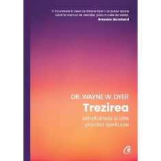 Trezirea. Mindfulness Si Alte Practici Spirituale, Wayne W. Dyer - Editura Curtea Veche