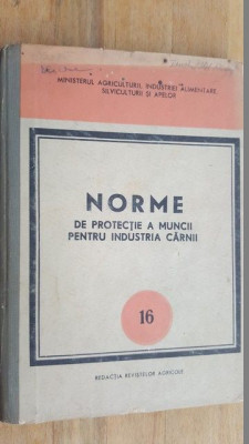 Norme de protectie a muncii pentru industria carnii nr.16 foto