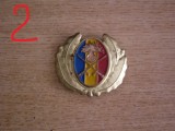 QW14 - Emblema militara / cuc - uscat - anii 1990 - piesa de colectie