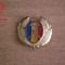 QW14 - Emblema militara / cuc - uscat - anii 1990 - piesa de colectie