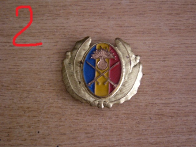 QW14 - Emblema militara / cuc - uscat - anii 1990 - piesa de colectie