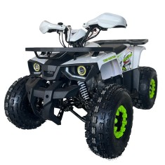 Atv Tao Hunter 8&amp;quot; 125cc 4T benzina verde automat