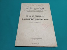 CULTURILE FORESTIERE ALE SPECIILOR PREȚIOASE CU CREȘTEREA RAPIDĂ / 1949 * B
