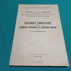 CULTURILE FORESTIERE ALE SPECIILOR PREȚIOASE CU CREȘTEREA RAPIDĂ / 1949 *