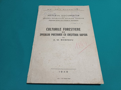 CULTURILE FORESTIERE ALE SPECIILOR PREȚIOASE CU CREȘTEREA RAPIDĂ / 1949 * foto