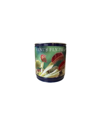 Kit Gradinarit Metal Venus Fly Trap I 1 buc foto