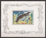 BELGIA FAUNA ZOO ( colita dantelata ) MNH