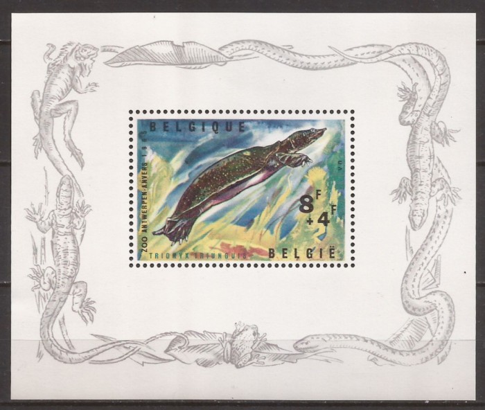 BELGIA FAUNA ZOO ( colita dantelata ) MNH