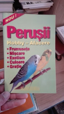 Perusii hobby-afacere foto