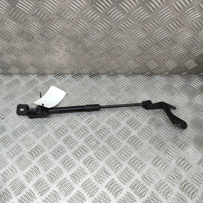 Amortizor capota st&acirc;nga față TESLA MODEL 3 2021 OEM: 1645989-00-A 27151245