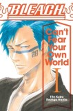Bleach: Can&#039;t Fear Your Own World, Vol. 1