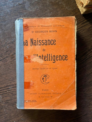 Georges Bohn - La Naissance de l&amp;#039;Intelligence (1910) foto