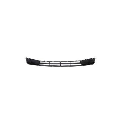 Grila bara fata Hyundai Accent (Mc), 09.2006-01.2010, 865221, 400927 fara locas pentru proiectoare foto