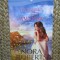 Un barbat pentru Amanda - Nora Roberts