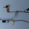 Cablu LCD Dell Latitude E6520 MR9MM 0T38GJ