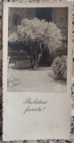 Felicitare de Craciun FotoFilm Cluj, perioada interbelica