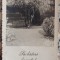Felicitare de Craciun FotoFilm Cluj, perioada interbelica