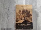 Din copilarie.Chipuri si povestiri de I.Agarbiceanu