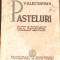 PASTELURI-VASILE ALECSANDRI-264708