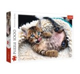 Cumpara ieftin Puzzle Trefl pisicuta vesela, 1000 piese