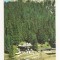 RF51 -Carte Postala- Lacul Rosu, Strandul, circulata 1970