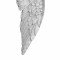 icon 5