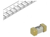 Siguranță Ultra-Rapidă 800mA 125VAC 125VDC SMD