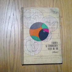 TAIEREA SI CONDUCEREA VITEI DE VIE - Album - D. D. Oprea - 1967, 119p.