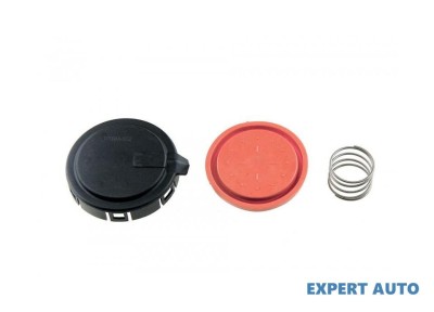 Membrana aerisire epurator capac motor BMW X5 (1999-2006) [E53] #1 foto