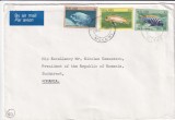 FILATELIE TEMATICA - PLIC MALAWI TEMATICA PESTI AIRMAIL, Fauna, Stampilat